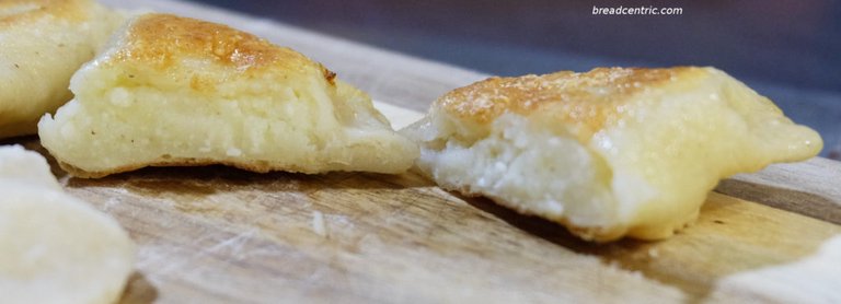 Fried dumpling