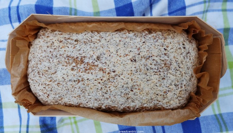 Gluten-free sourdough