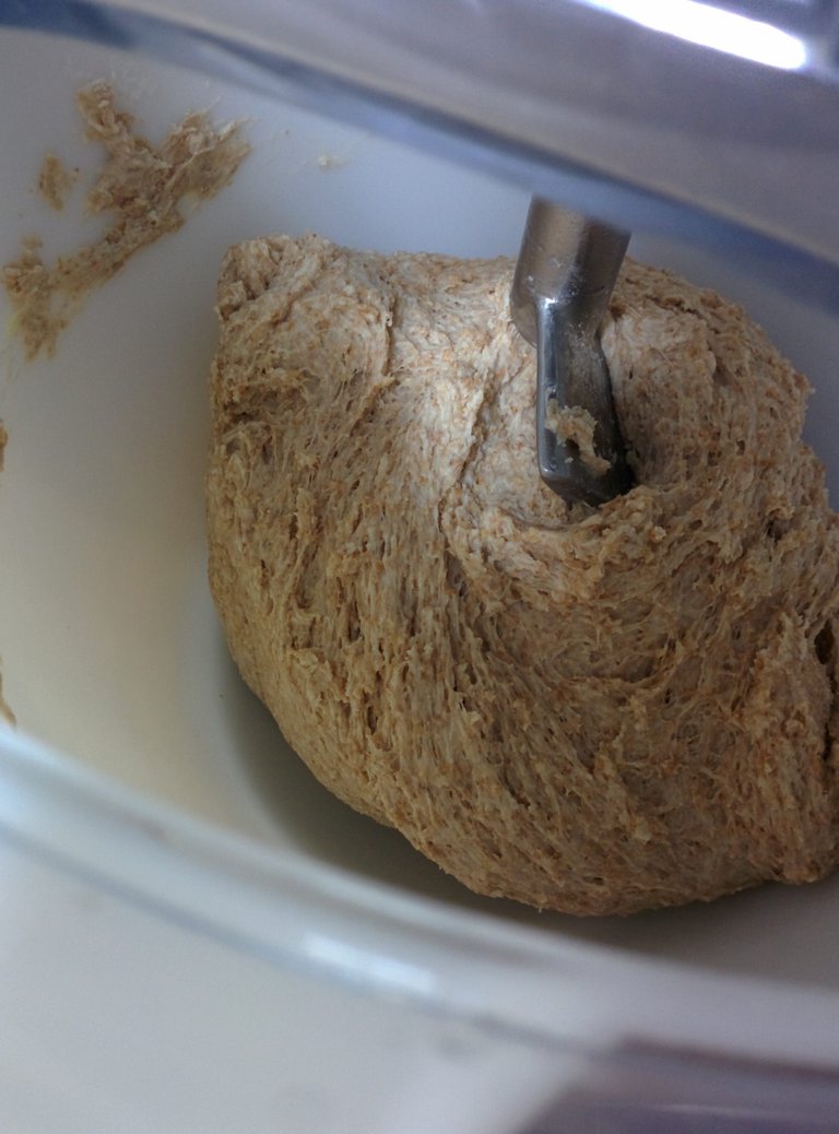 Dough in the mixer