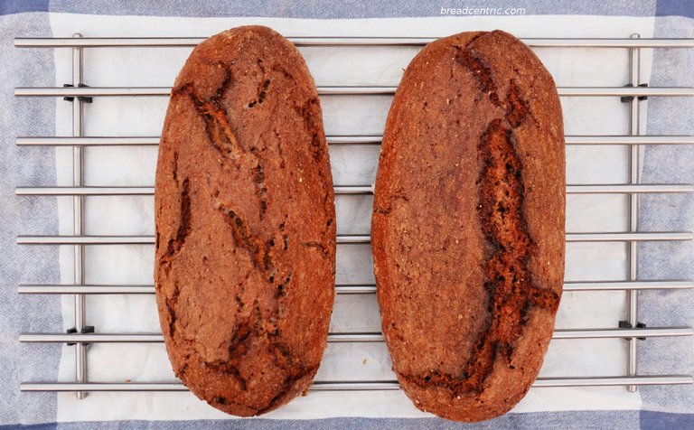 Lithuanian bread