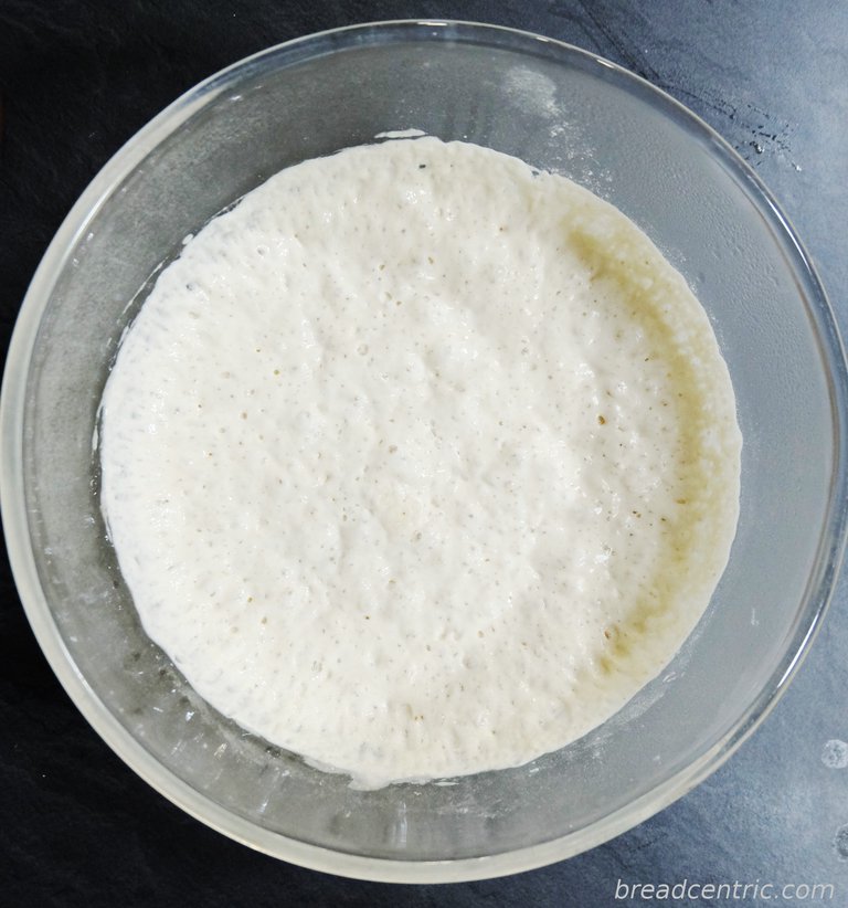 Mature levain