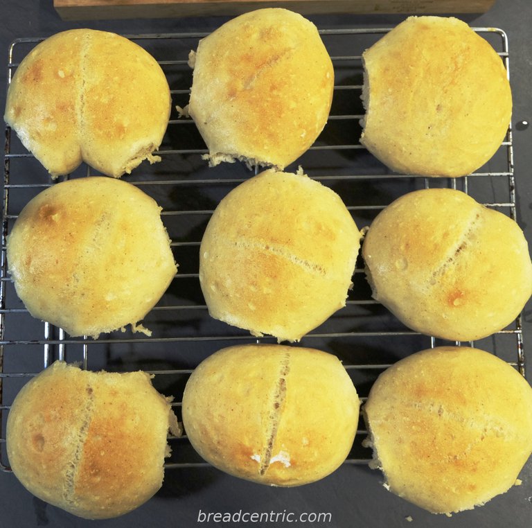 Poznańskie rolls