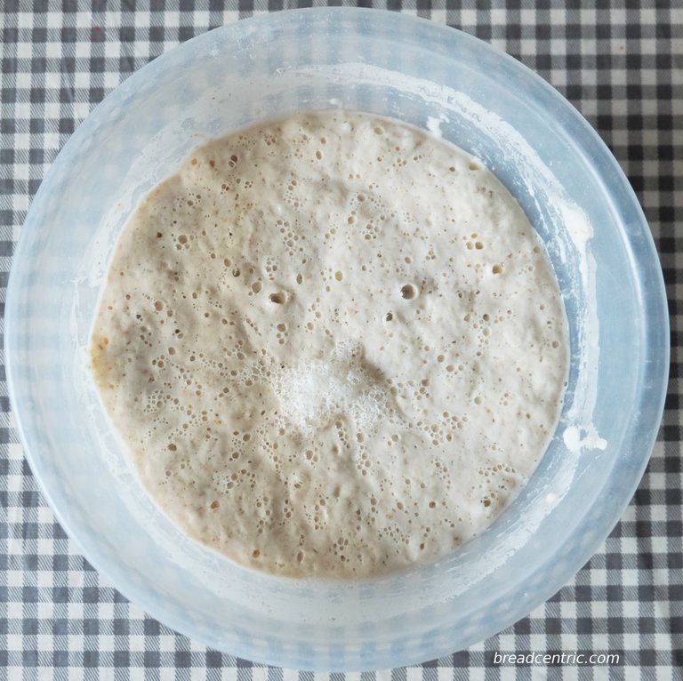 Happy Levain