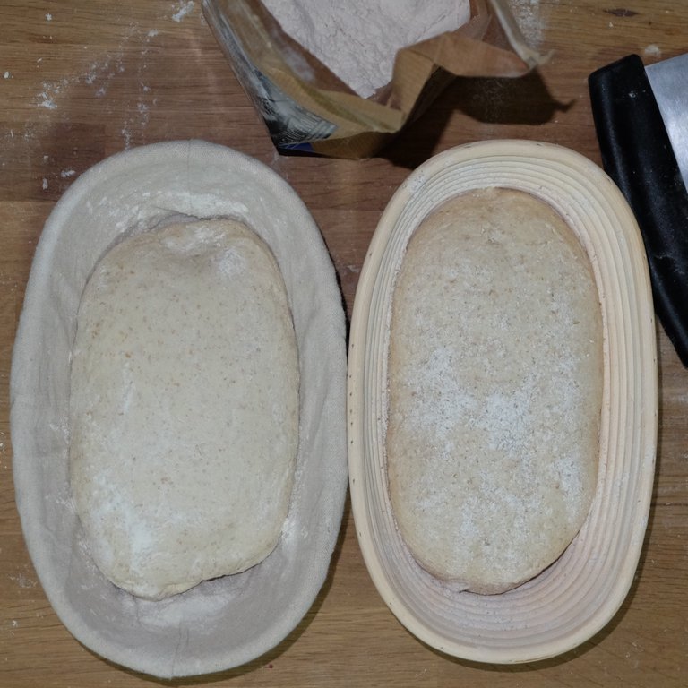 Vermont sourdough with wholewheat flour before proofing