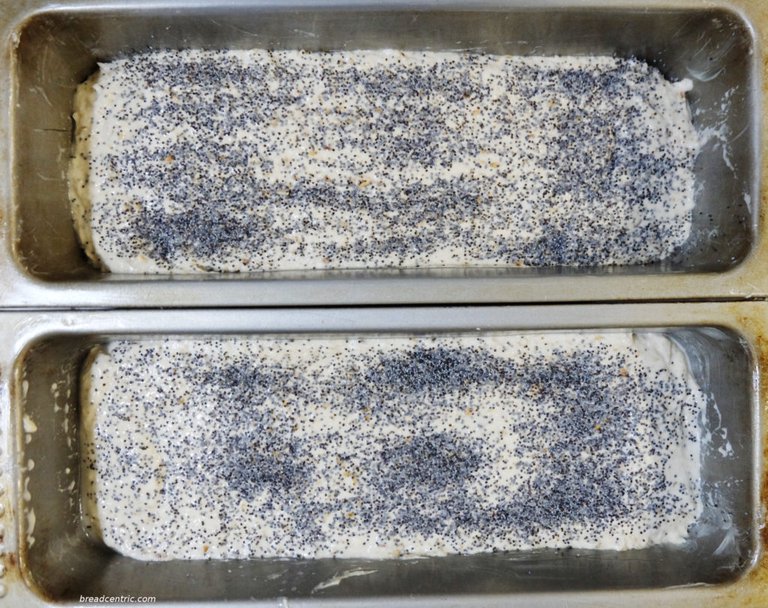 Dough before rising