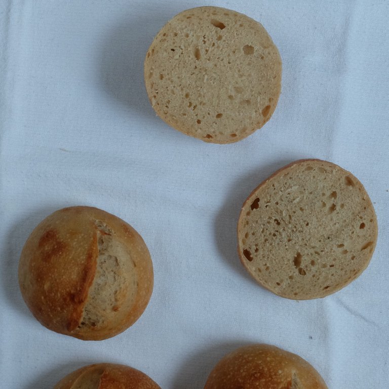 Yeast water rolls: the crumb